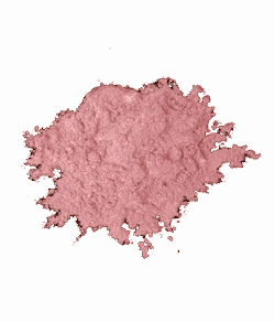 Blush Makeup Cosmetics High Definition Shimmer Pigment
