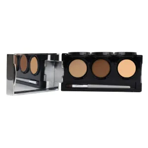 Full Coverage Concealer Palette, Waterproof Concealer Cream, 3 Colors   Brush, by Dermaflage