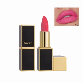 Matte Lipstick Non-stick Cup Matte Velvet Lipstick Make-up Lipstick Student (Color : 12#, Size : 3.5g)