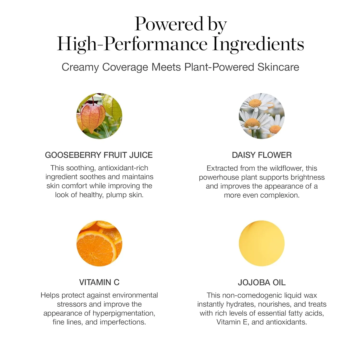 Ogee Complexion Perfecting Liquid Foundation - Lightweight Tinted Moisturizer For Face (Acacia 12.25C - Deep, Red Undertones) - with Vitamin C & Jojoba Oil - Certified Organic & Made in USA