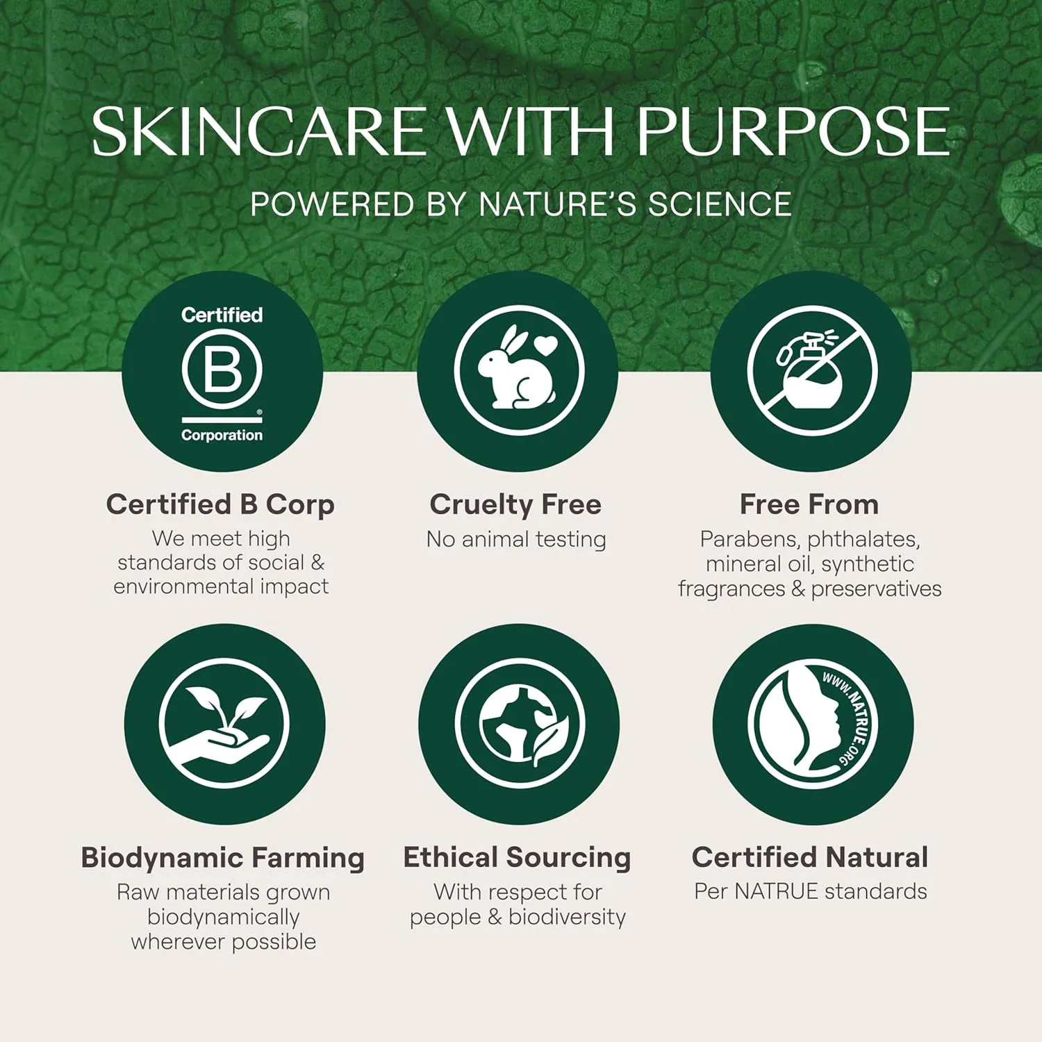 Weleda Skin Food Original Ultra-Rich Body Cream 2.5 Fluid Ounce, Plant Rich Hydrating Moisturizer with Pansy, Chamomile and Calendula