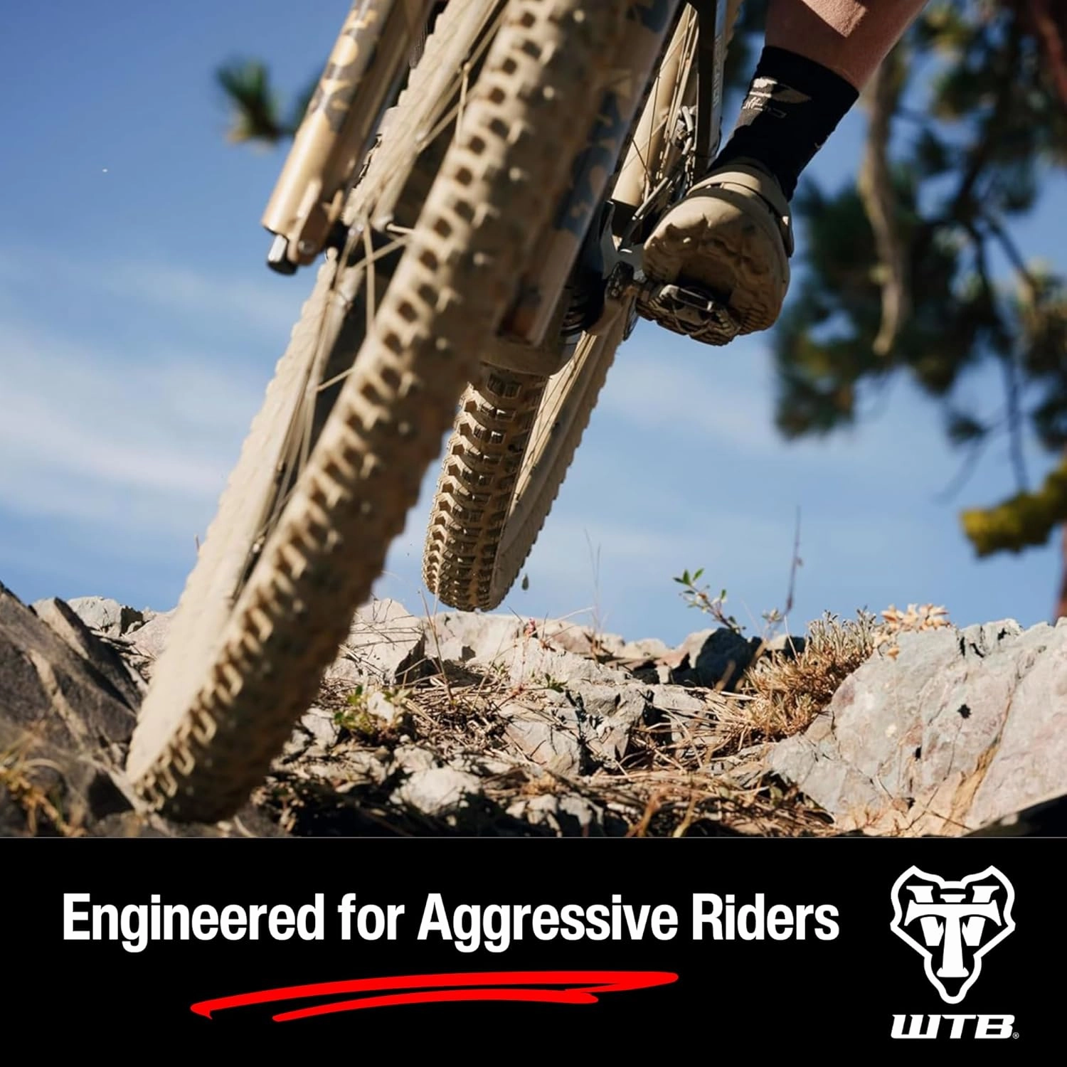 WTB Judge 2.4" Mountain Bike Rear Tire, Enduro & Gravity, Tubeless Ready Folding Bead, Available in 27.5" or 29", TriTec Compound, SG1 or SG2 Puncture Protection, High Grip for Wet & Loose Conditions